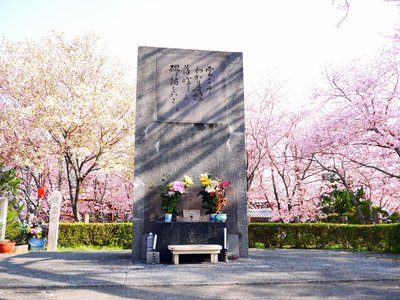 🕊️ 특공비 공원 (톳코히 코엔) 이미지 3